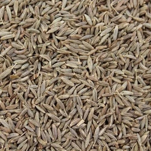 Cumin Seeds (Jeera)